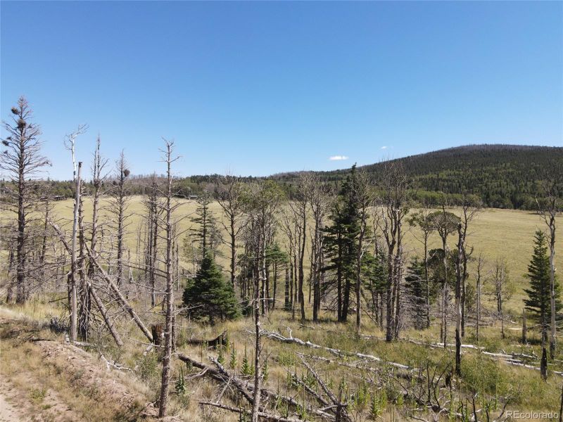 2500 Sharbaugh Ln, Fort Garland, CO 81133