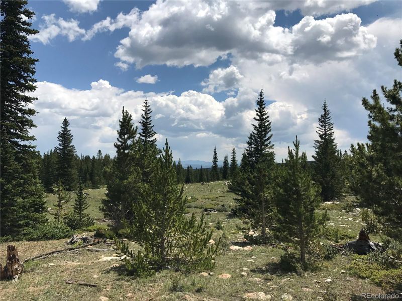 4 Timberline Trl, Fairplay, CO 80440