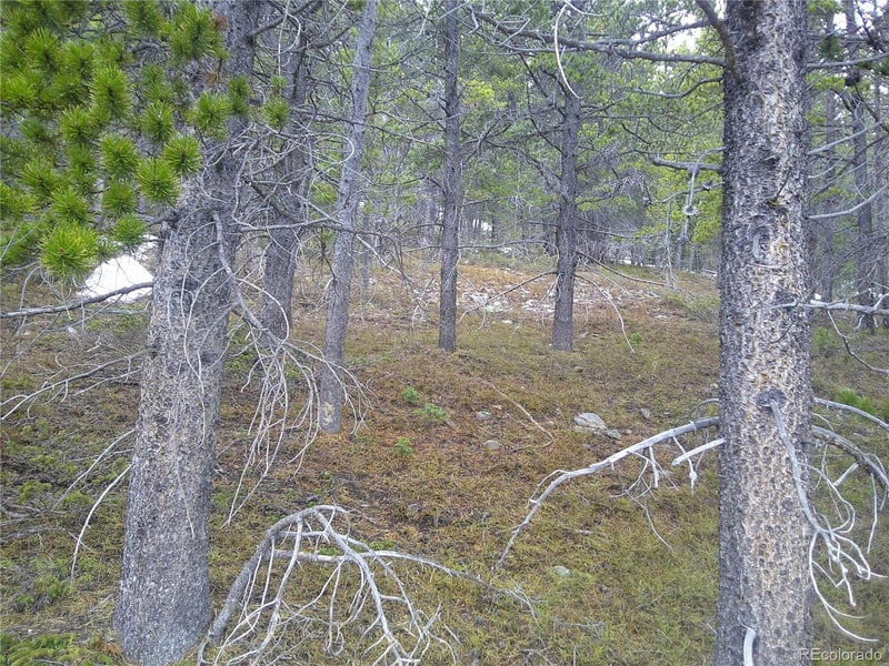 Lot 417 Glory Hole Rd, Idaho Springs, CO 80452