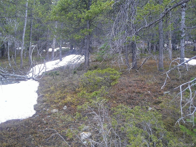 Lot 417 Glory Hole Rd, Idaho Springs, CO 80452