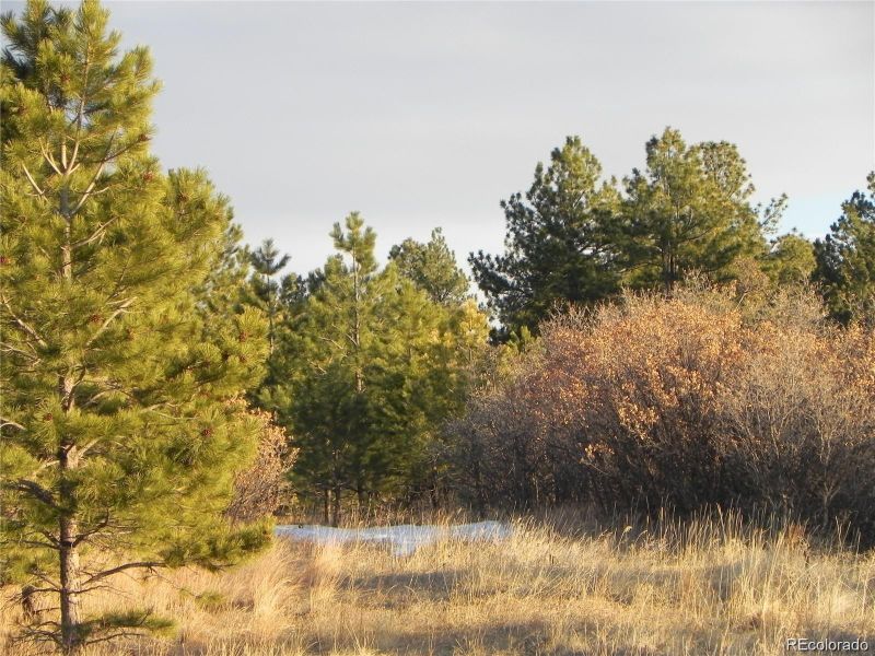 2366 Lupine Cir, Larkspur, CO 80118