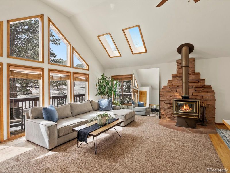 335 Yum Yum Tree Ln, Bailey, CO 80421