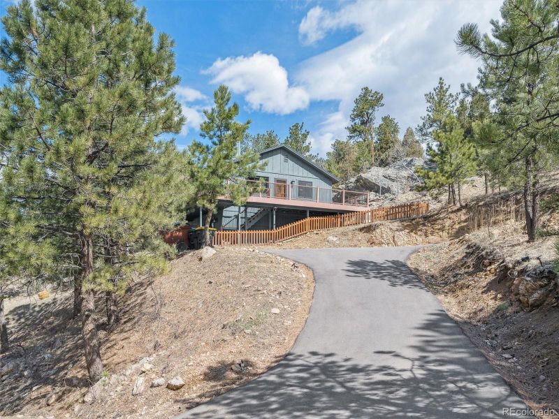 179 Juniper Ln, Bailey, CO 80421