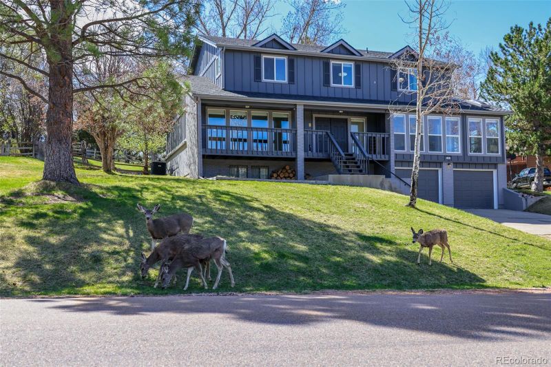 8446 Lightening View Dr, Parker, CO 80134