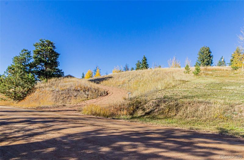 300 Apache Trl, Woodland Park, CO 80863