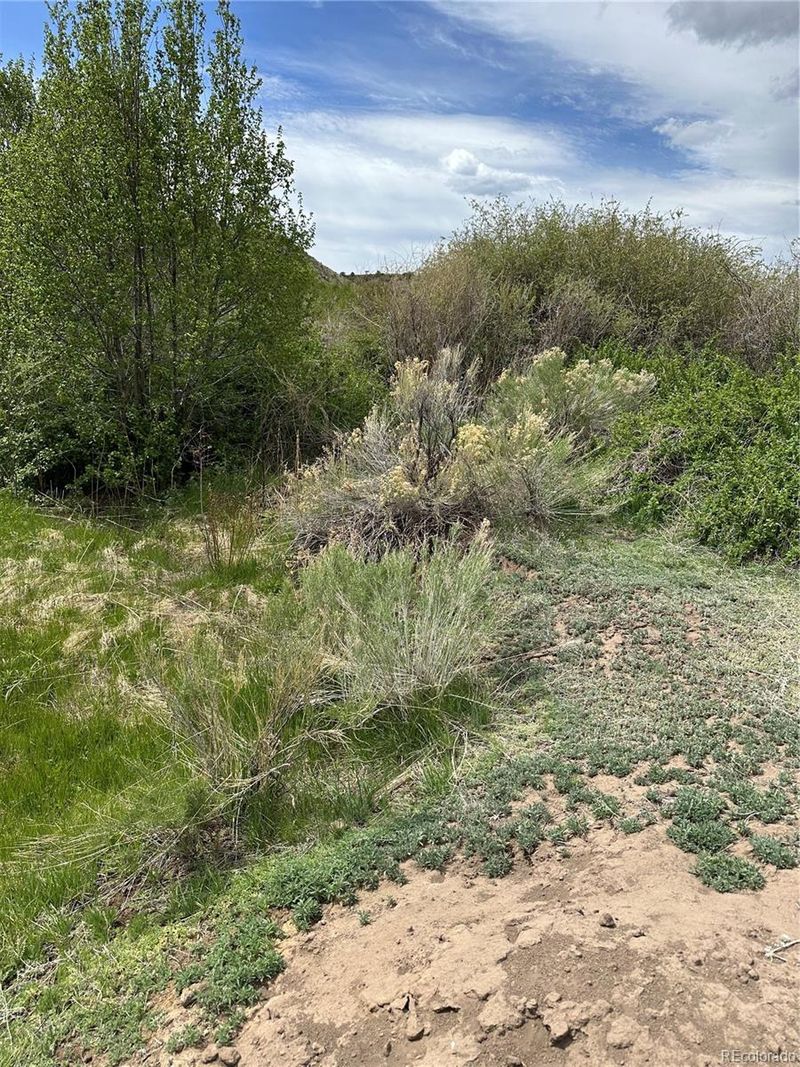 Tbd Lot 8, La Jara, CO 81140