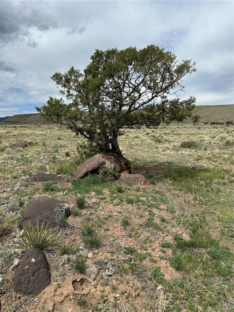 Tbd Lot 8, La Jara, CO 81140