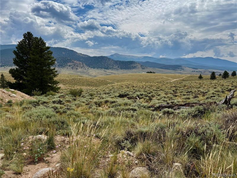 Prcl 1 A Trct 54, Twin Lakes, CO 81251