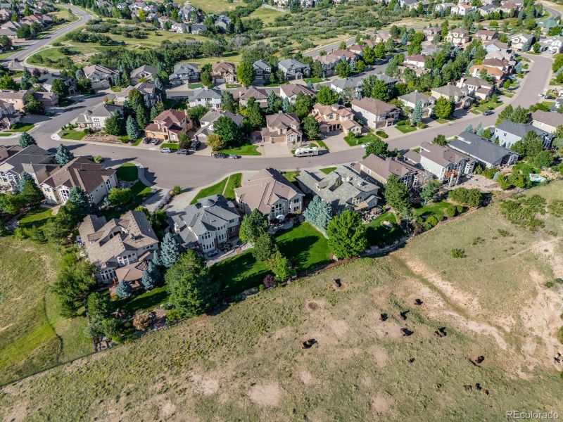 6116 Vacquero Dr, Castle Pines, CO 80108