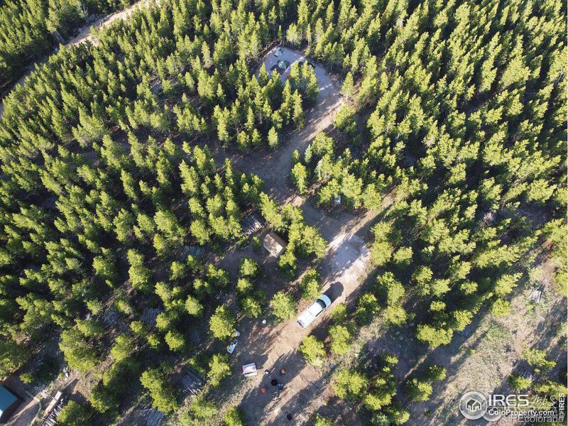 156 Penobscot Ct, Red Feather Lakes, CO 80545