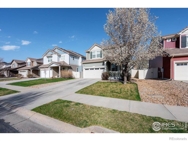 3761 Cedarwood Ln, Johnstown, CO 80534