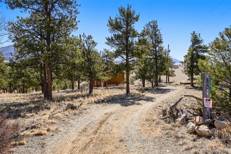 206 Wind Cave Ct, Hartsel, CO 80449