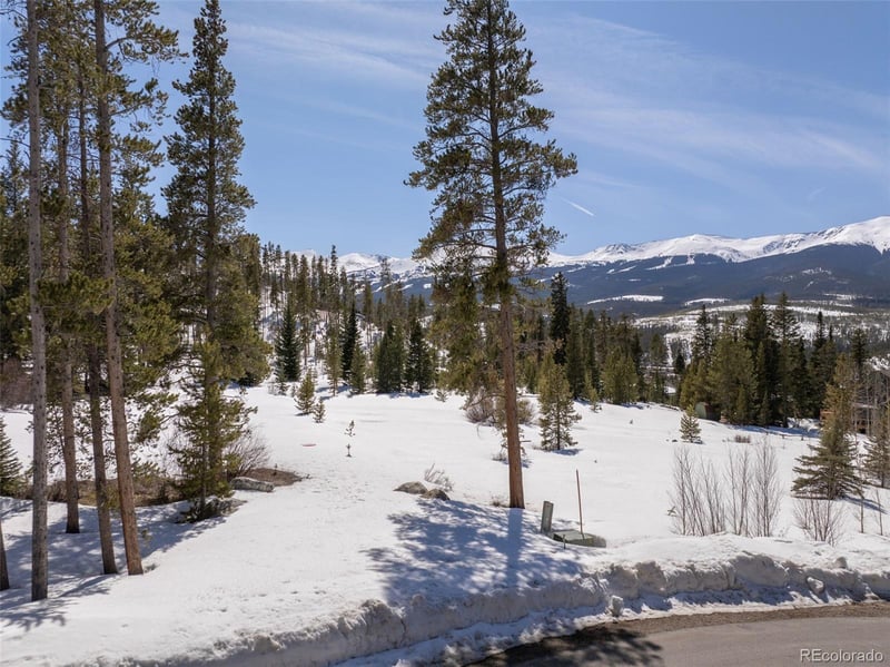 203 Spalding Ter Lot 155, Breckenridge, CO 80424