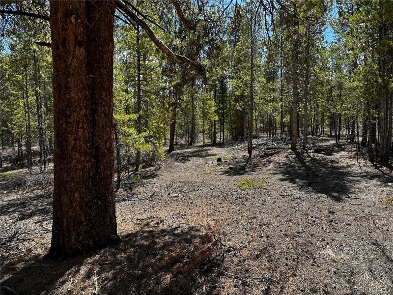 945 Birch Dr, Twin Lakes, CO 81251