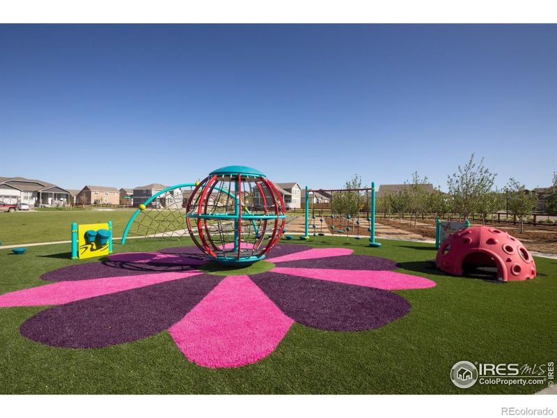 1621 Winter Glow Dr, Windsor, CO 80550