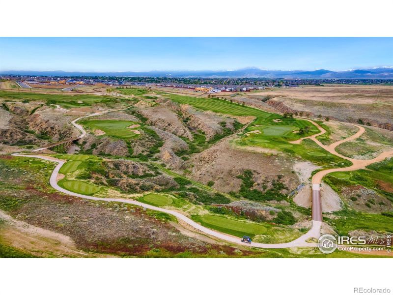 1621 Winter Glow Dr, Windsor, CO 80550