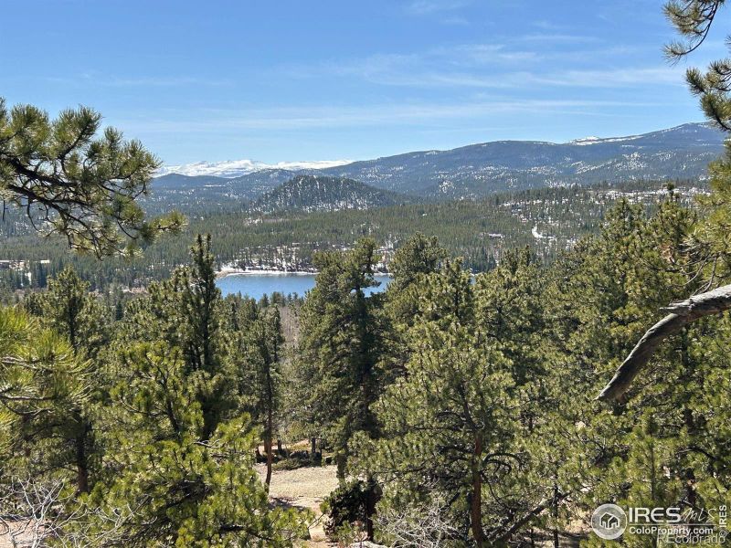 63 Nambe Ct, Red Feather Lakes, CO 80545