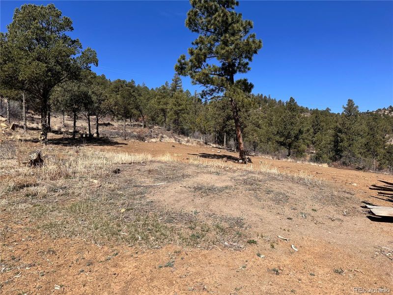 000 Big Pine Rg, Weston, CO 81091