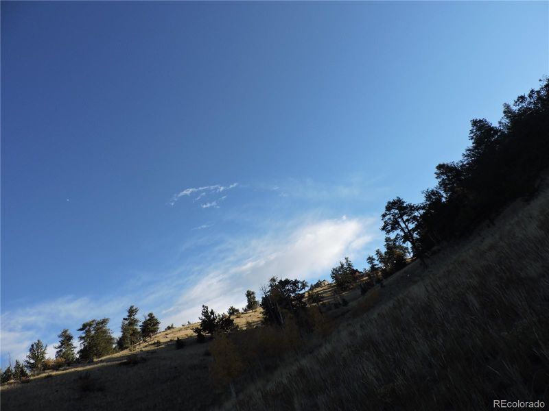 8494 Chickasaw Rd, Hartsel, CO 80449