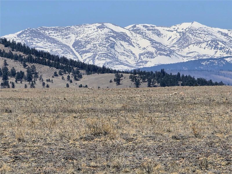 1000 Yellowstone Rd, Hartsel, CO 80449