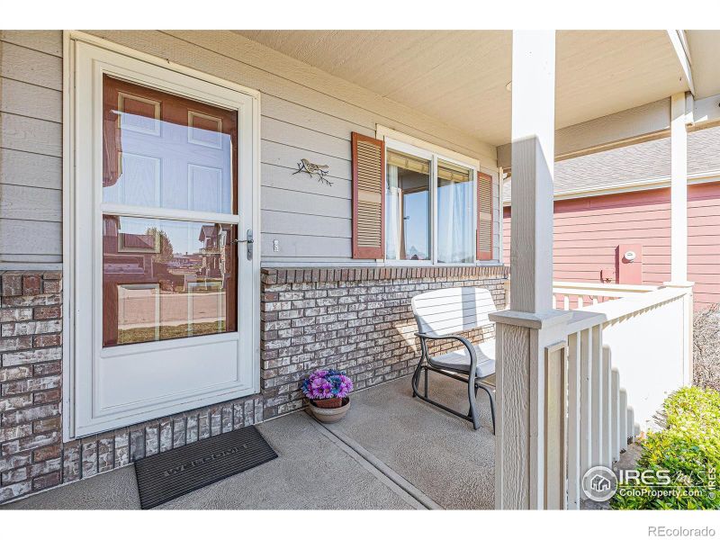 798 Durum St, Windsor, CO 80550