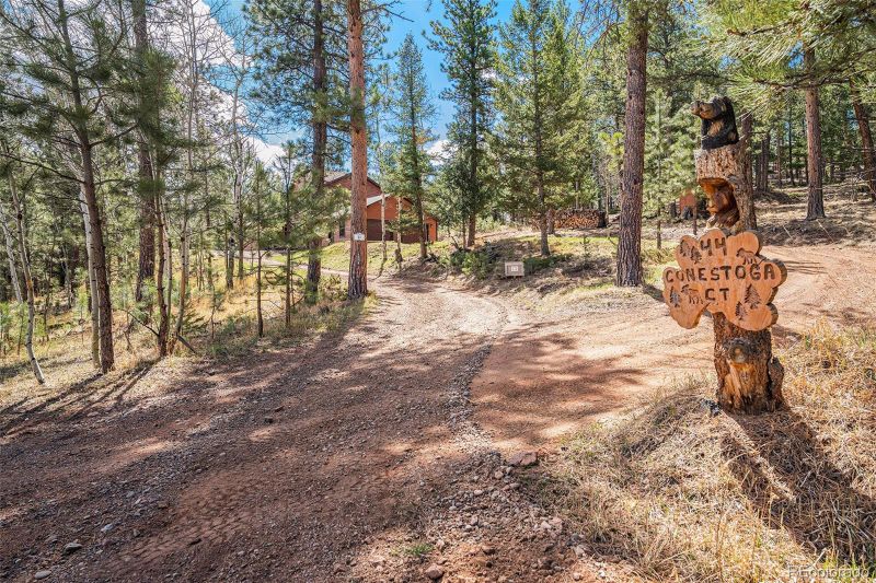 44 Conestoga Ct, Bailey, CO 80421