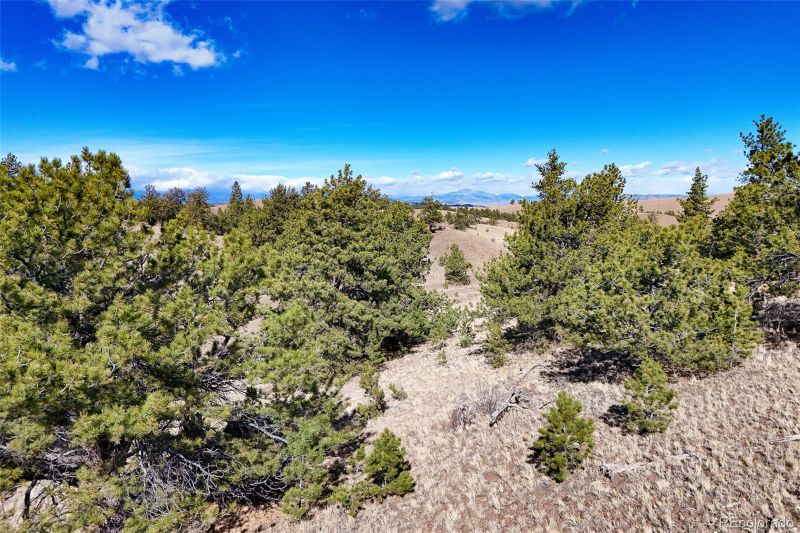 Victor Dr, Hartsel, CO 80449