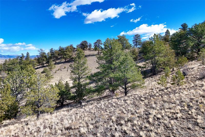 Victor Dr, Hartsel, CO 80449
