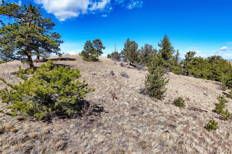 Victor Dr, Hartsel, CO 80449