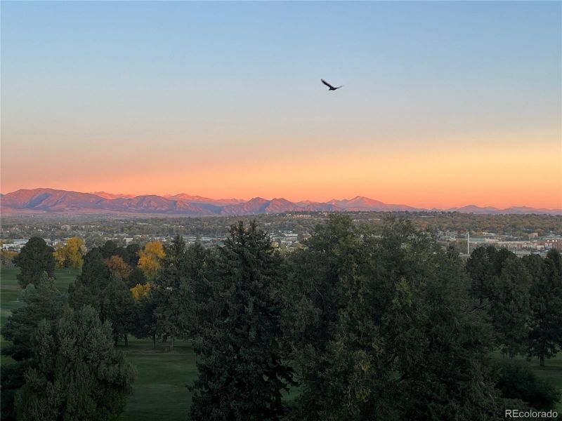 4625 W 50th Ave #309, Denver, CO 80212