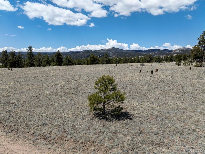 139 Wakonda Ln, Hartsel, CO 80449