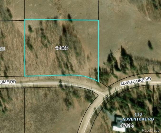 295 Silver Plume Rd, Fairplay, CO 80440