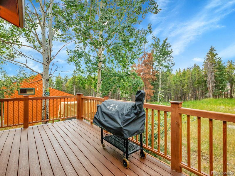 8310 S Warhawk Rd, Conifer, CO 80433