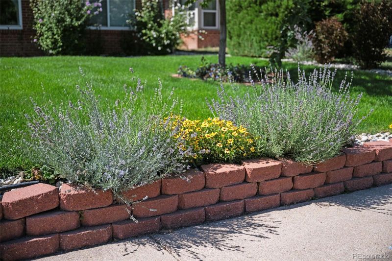2649 N Cook St, Denver, CO 80205