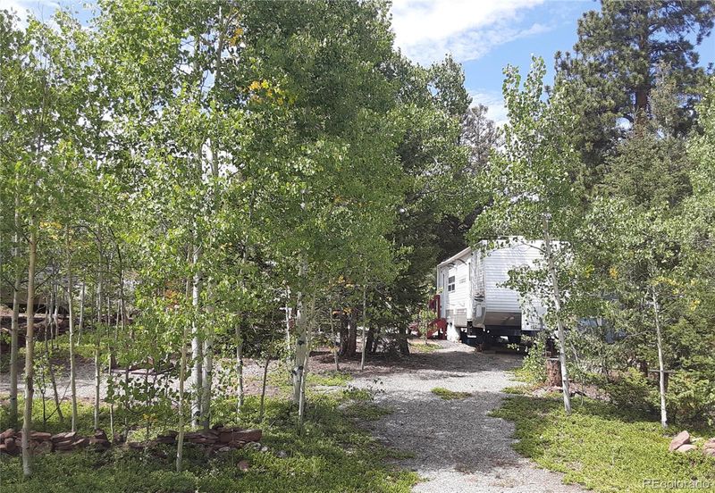 72 Spike Way, Fairplay, CO 80440
