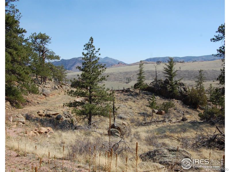 324 Le Conte Dr, Livermore, CO 80536