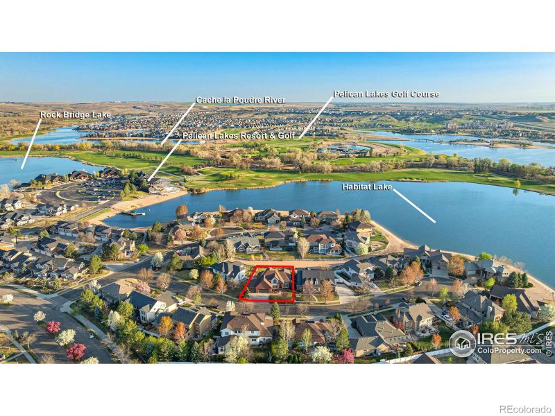 305 Habitat Cv, Windsor, CO 80550