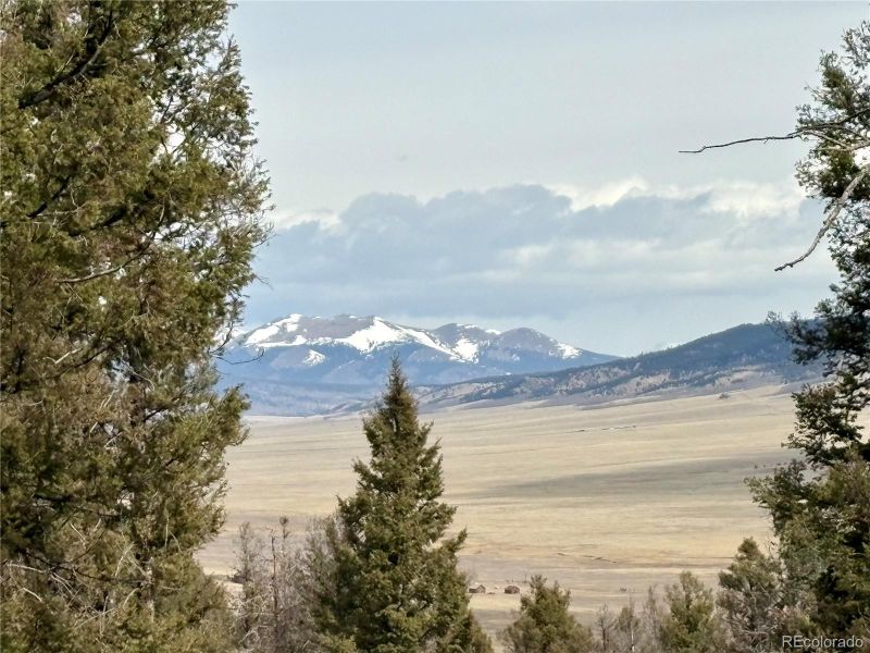 1445 Redhill Rd, Fairplay, CO 80440