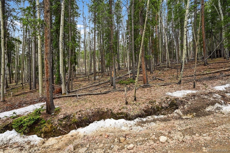 Ute Trl, Evergreen, CO 80439