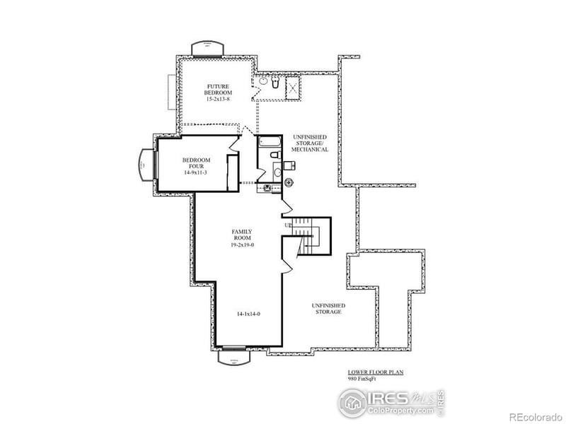984 Hawkshead St, Timnath, CO 80547