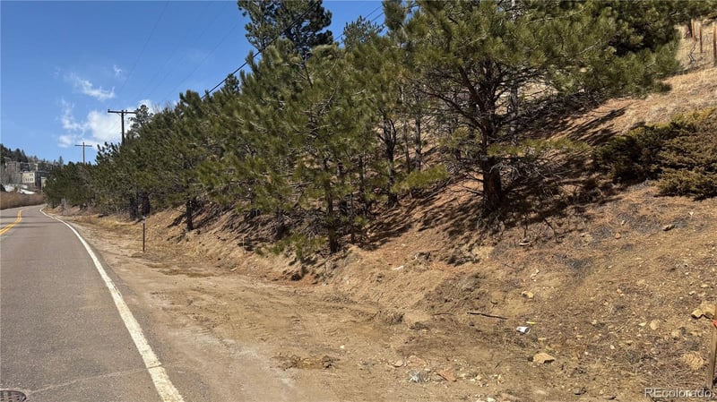023 Eureka St, Central City, CO 80427