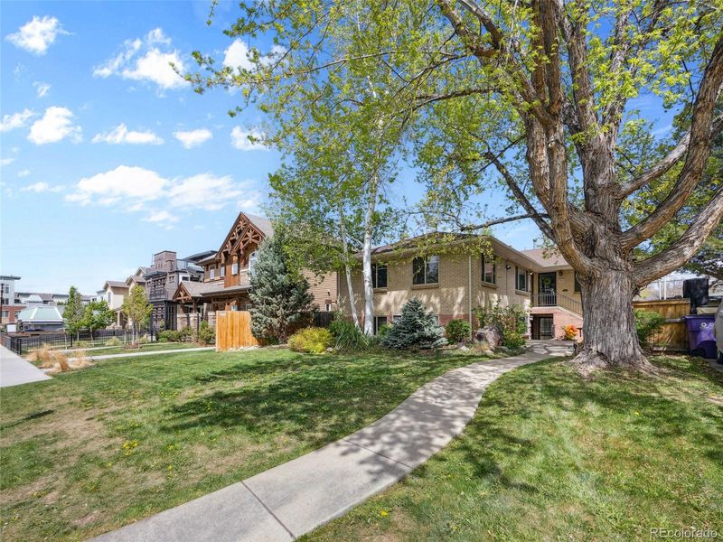 746 Birch St, Denver, CO 80220
