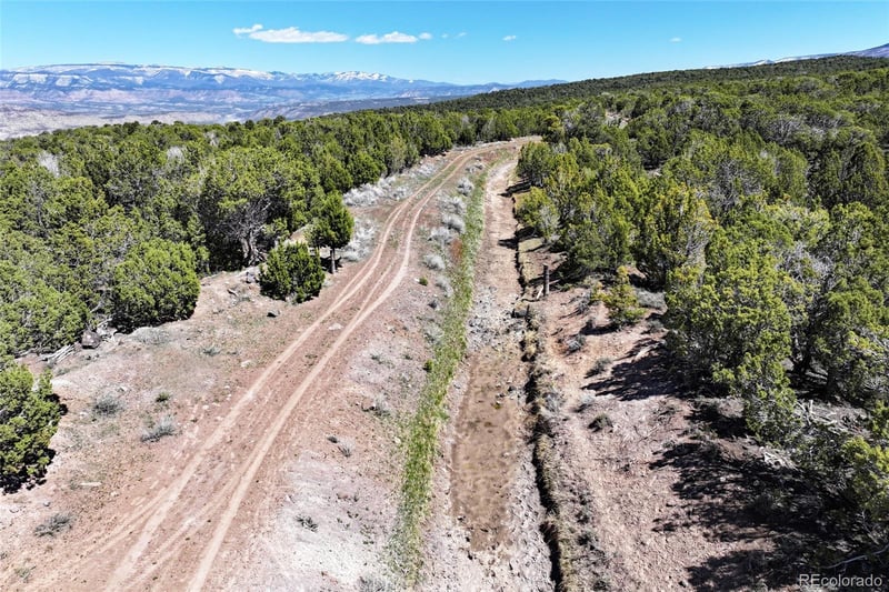 TBD Lot 4 Tbd Lot 4, Mesa, CO 81643