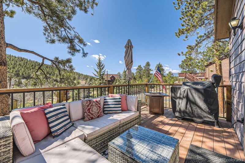 49 Silver Springs Rd, Bailey, CO 80421