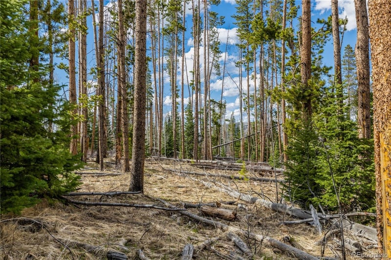 Lot 98 South Station Ii, Oak Creek, CO 80467