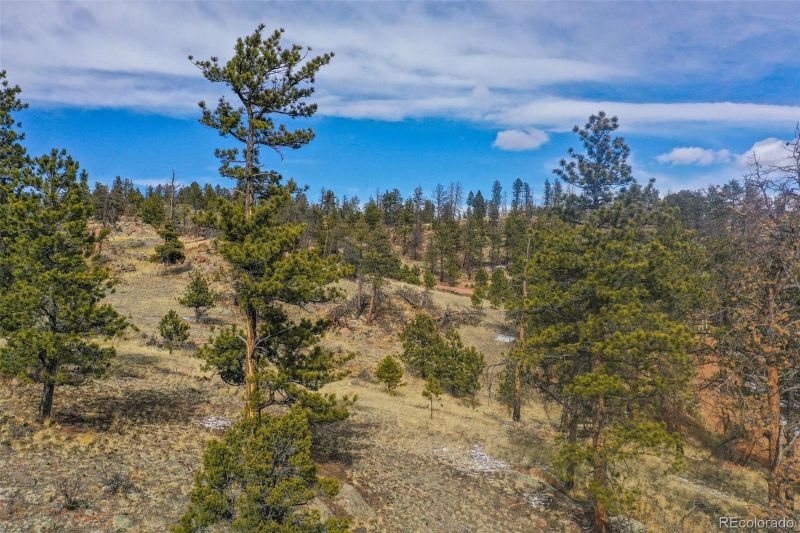 397 Chateau West Dr, Florissant, CO 80816
