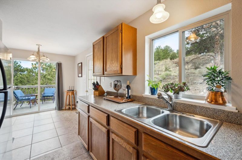 362 Dick Mountain Dr, Bailey, CO 80421