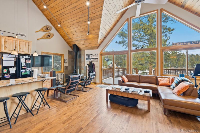 325 County Road 19, Leadville, CO 80461