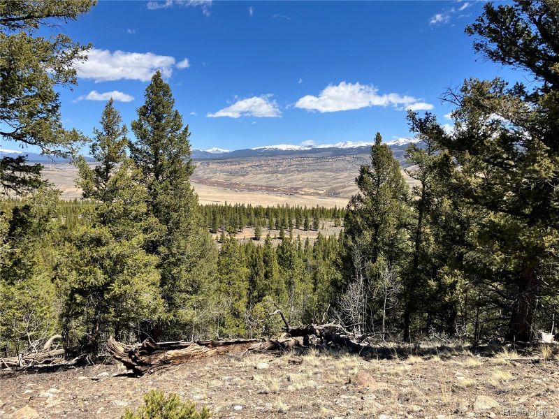 274 Mt Elbert Rd, Twin Lakes, CO 81251