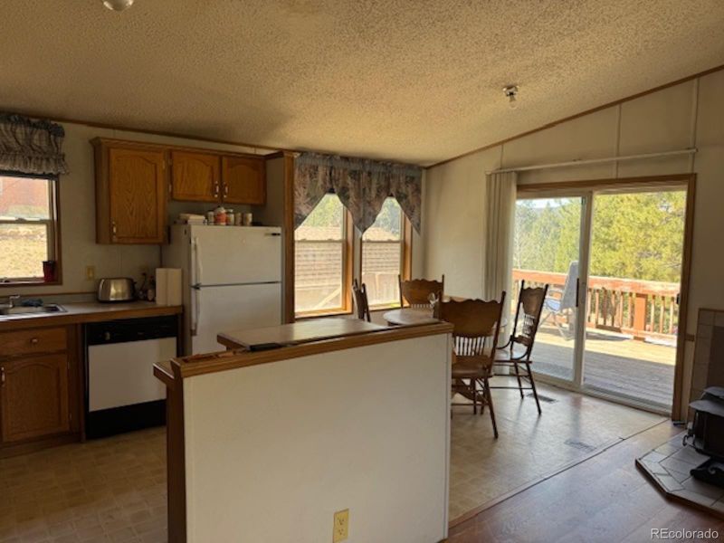 33505 Diana Rd, Pine, CO 80470